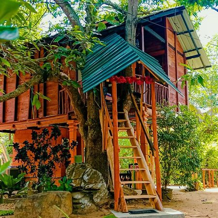 Sigiri Sky Home & Treehouse Sigiriya Buitenkant foto