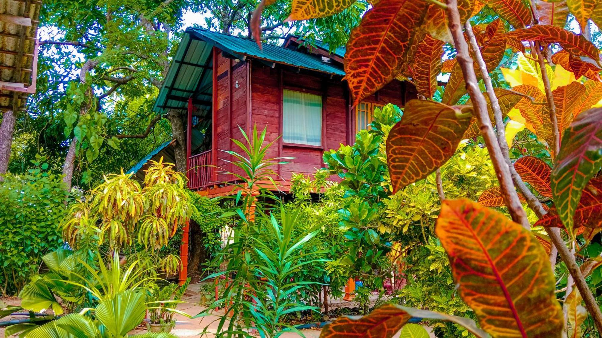 Sigiri Sky Home & Treehouse Sigiriya Buitenkant foto