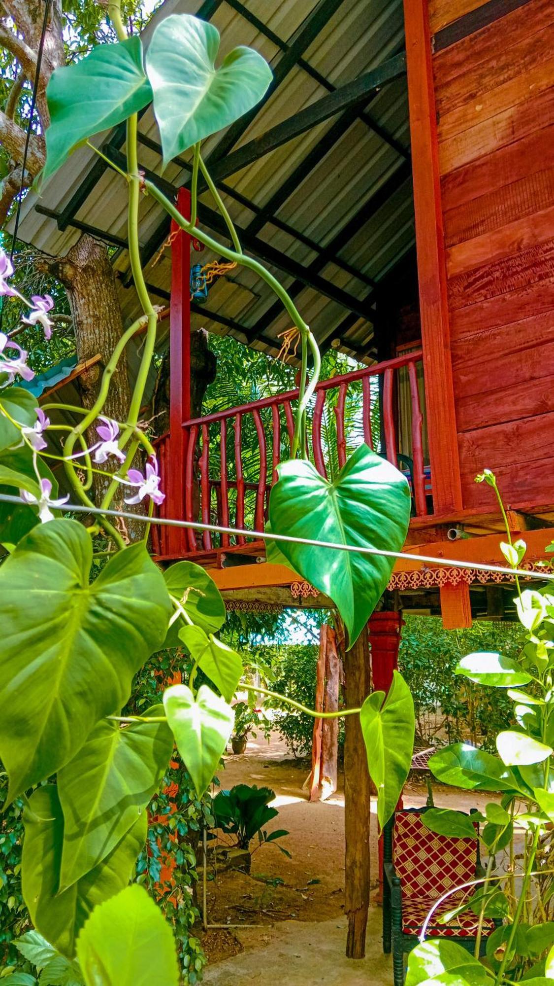 Sigiri Sky Home & Treehouse Sigiriya Buitenkant foto