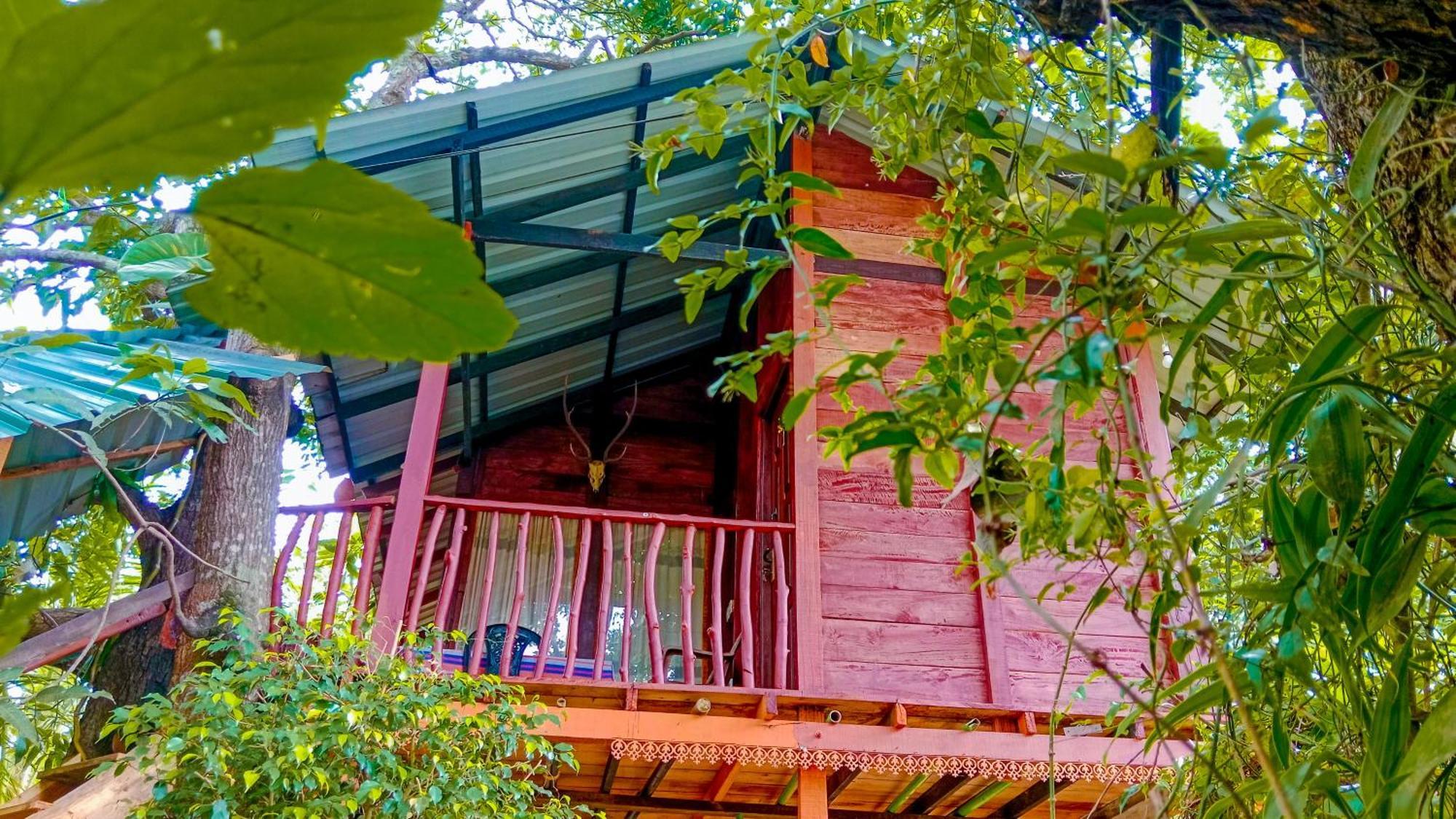 Sigiri Sky Home & Treehouse Sigiriya Buitenkant foto