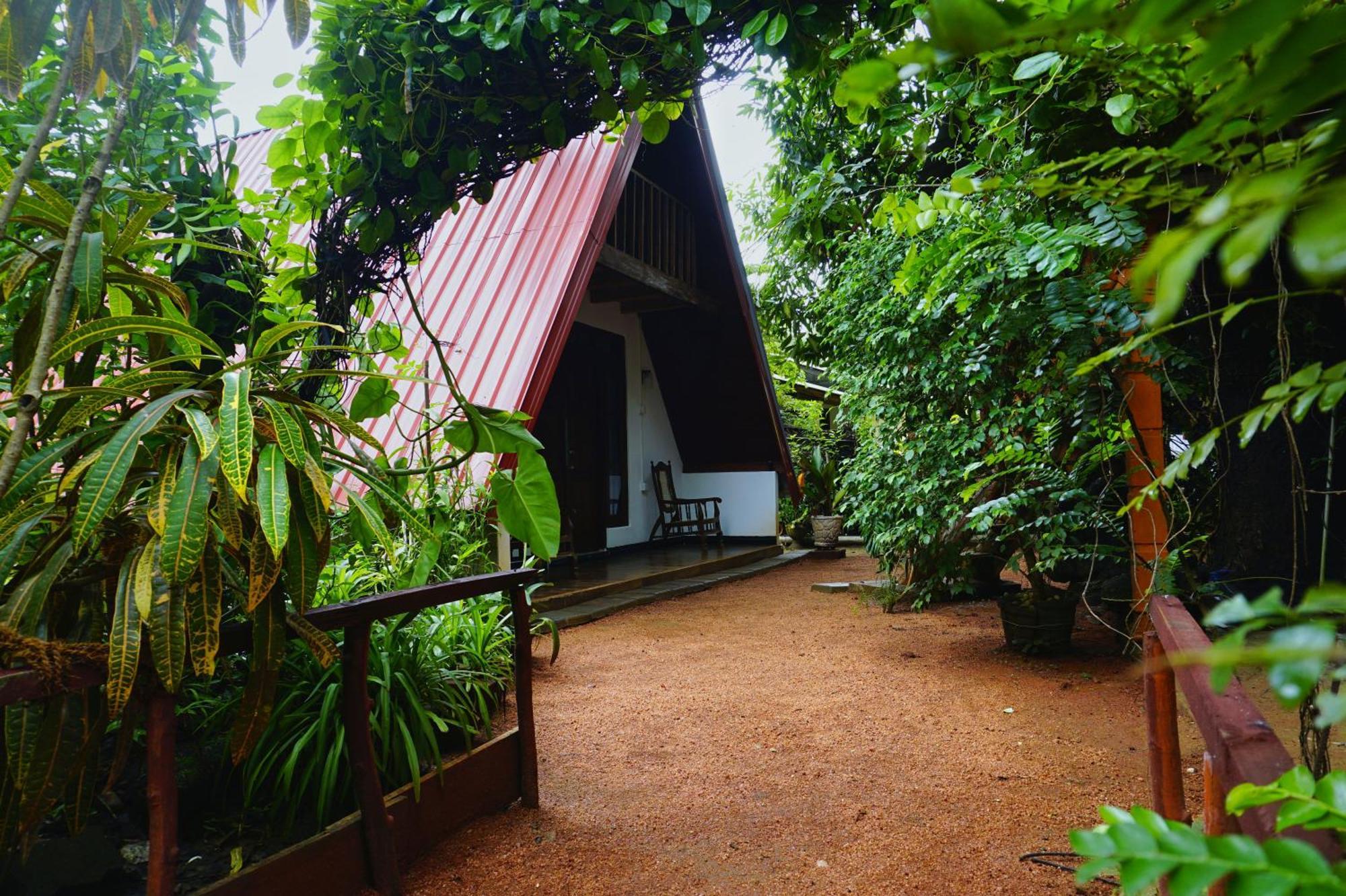 Sigiri Sky Home & Treehouse Sigiriya Buitenkant foto