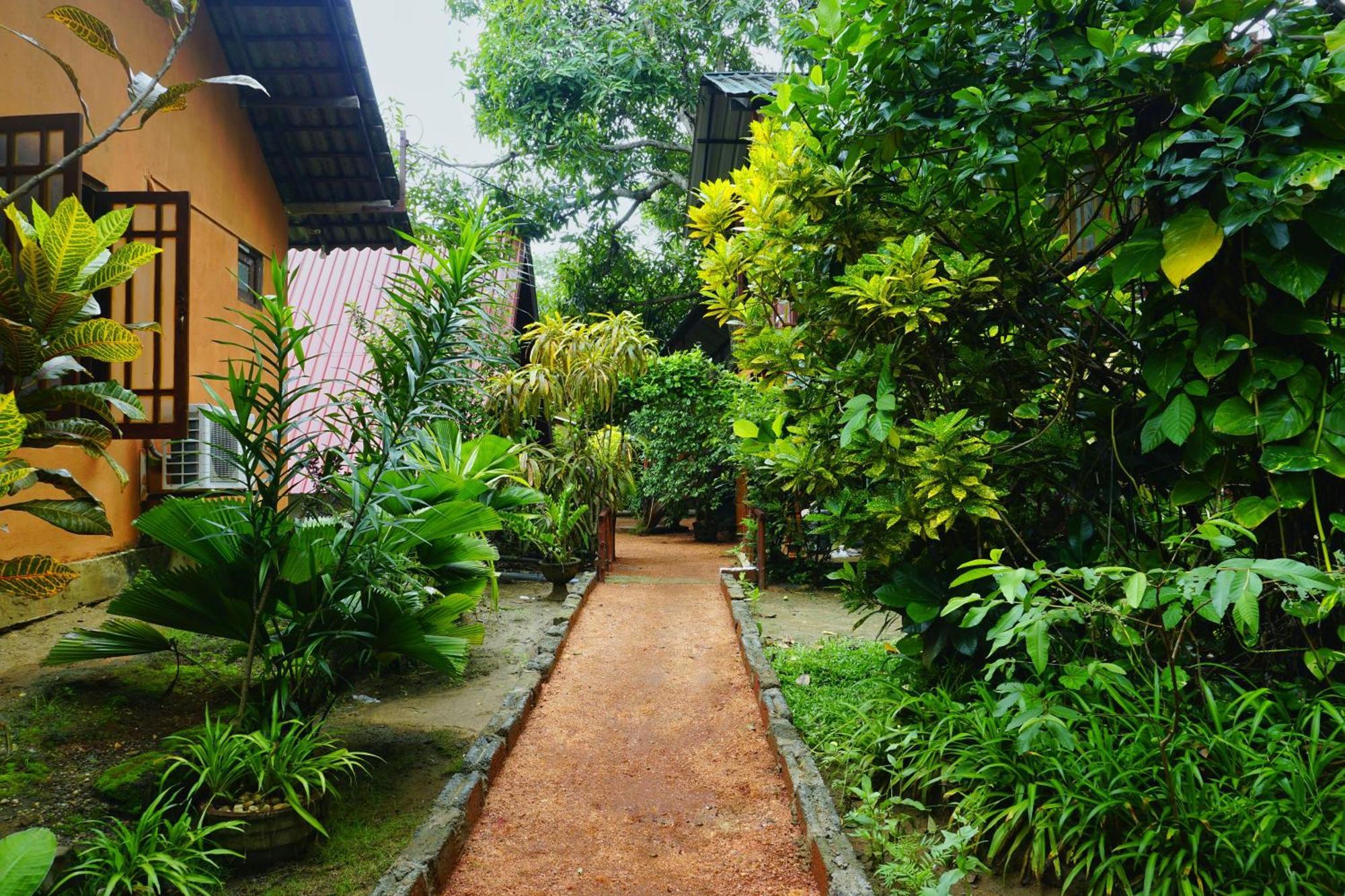 Sigiri Sky Home & Treehouse Sigiriya Buitenkant foto